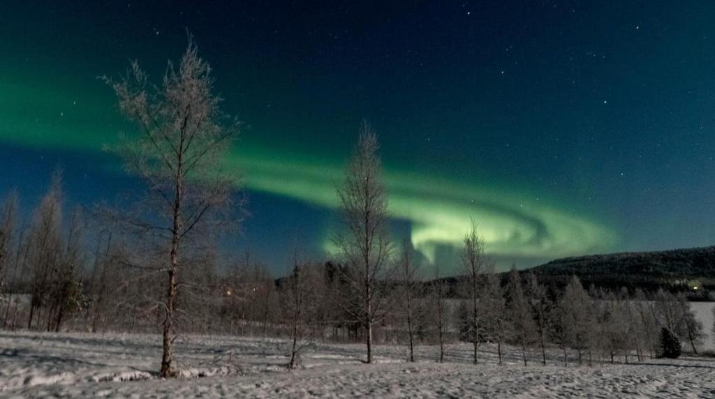 an aurora in the sky over a field with trees at Chalet Pellonranta 2 in Mäkituoma