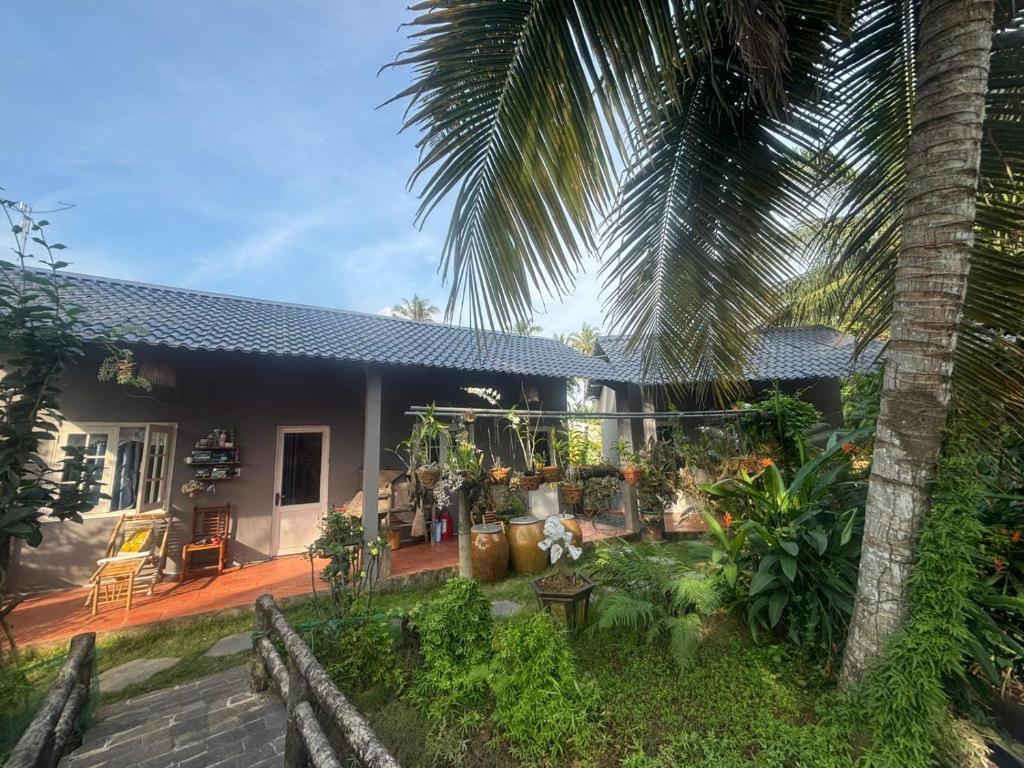 Homestay Bentre Coco Lodge - 5