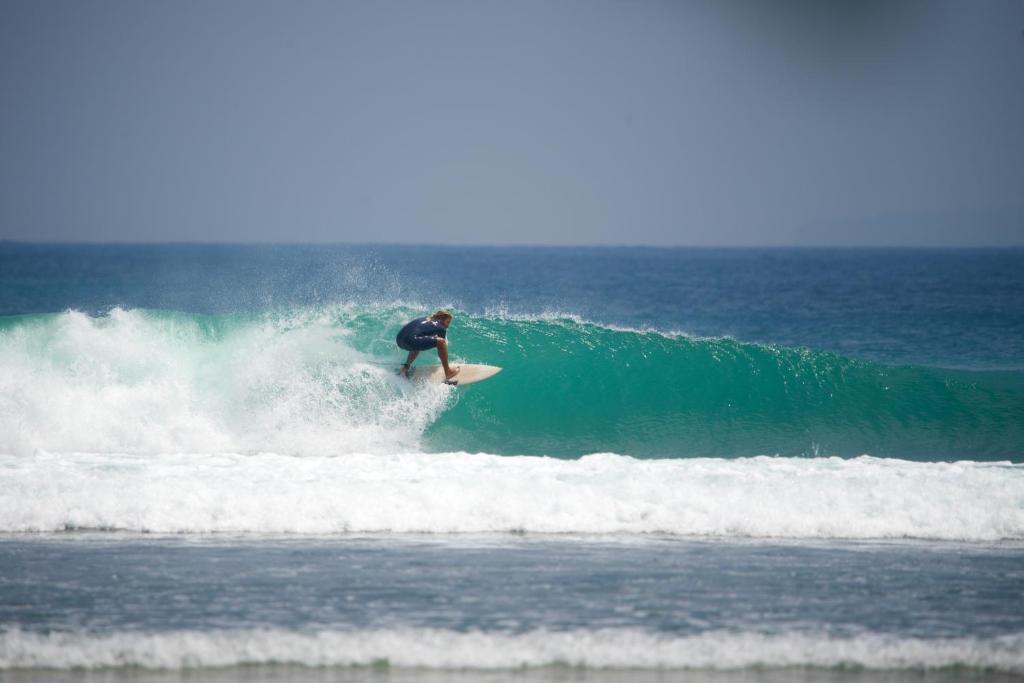 Hosté ubytování Krui Surfing