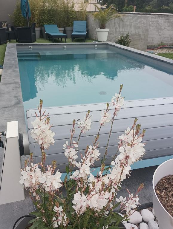 - une piscine avec des fleurs roses en face dans l'établissement maison en Provence pour un été sous le soleil, à LʼIsle-sur-la-Sorgue