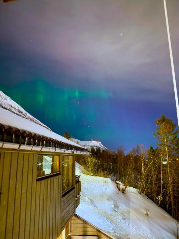 a house with the northern lights in the sky at Alkove Apartment in Tromsø