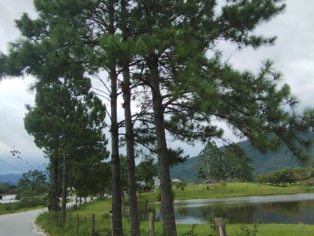 a group of trees next to a lake at Recanto da Magia in Palhoça
