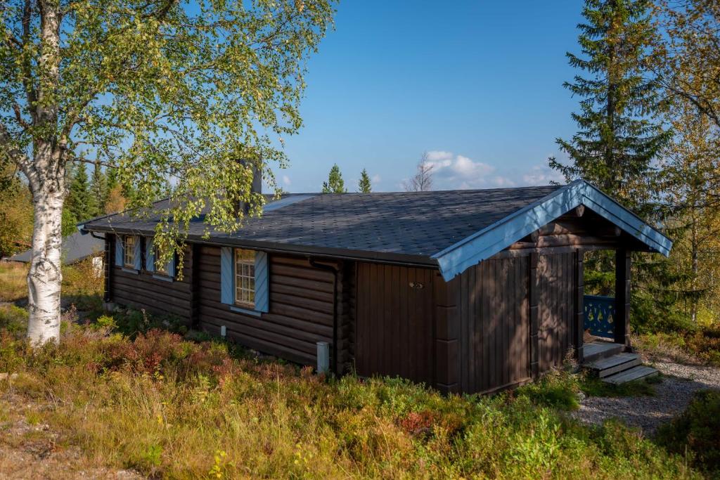 una pequeña cabaña en un campo con árboles en Trysilfjellet Sør 204, en Trysil