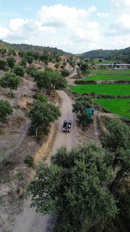 Paisagem natural perto do bed and breakfast