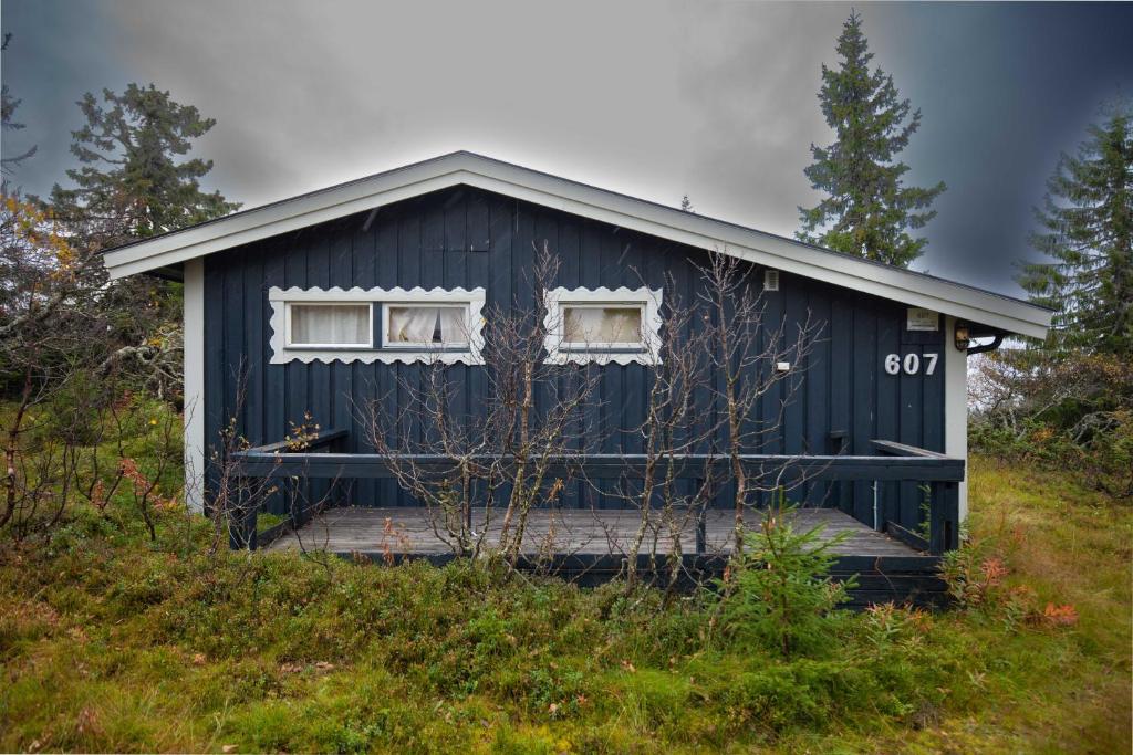 ein blaues Haus am Hang eines Hügels in der Unterkunft Trysilfjellet Nord 607 in Trysil