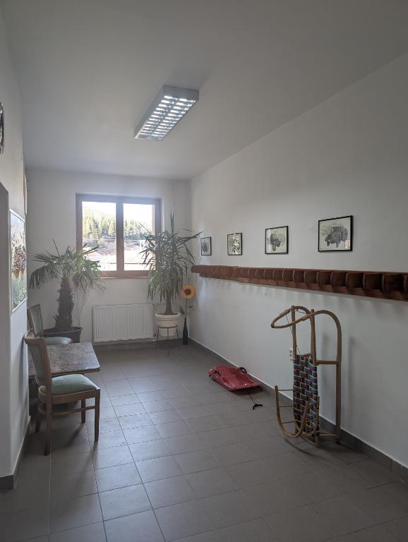 Fitness centrum a/nebo fitness zařízení v ubytování Apartmany u Denyho