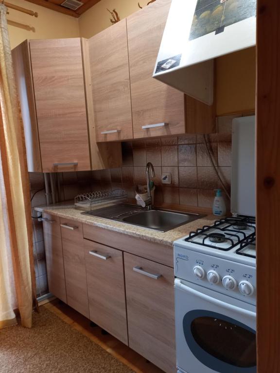 Kuchyň nebo kuchyňský kout v ubytování Під горою