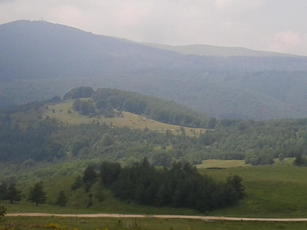 Příroda nedaleko hotelu