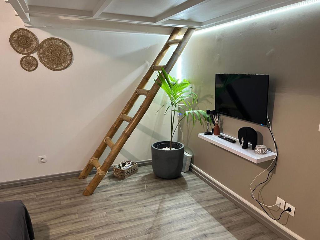 TV a/nebo společenská místnost v ubytování Bwa K'nel