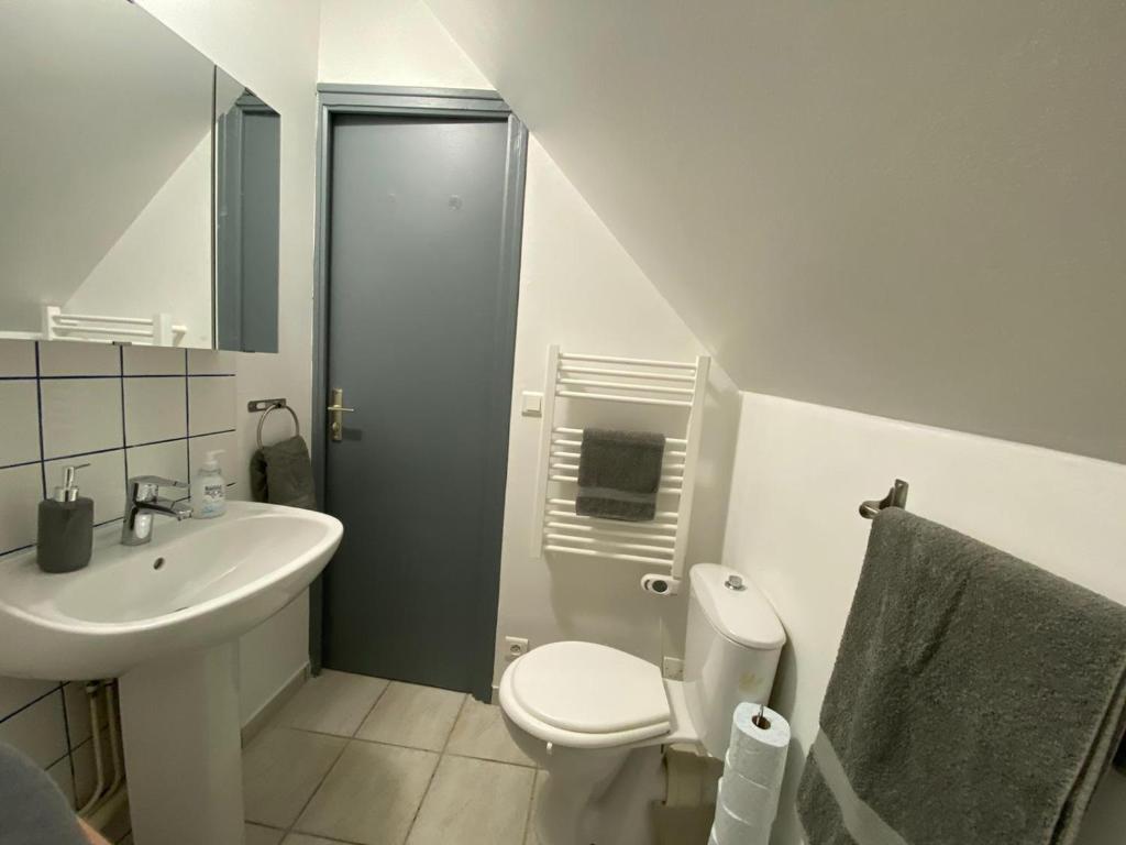 une salle de bain blanche avec un lavabo et des toilettes dans l'établissement Le Nid de Liais, à Cherbourg en Cotentin