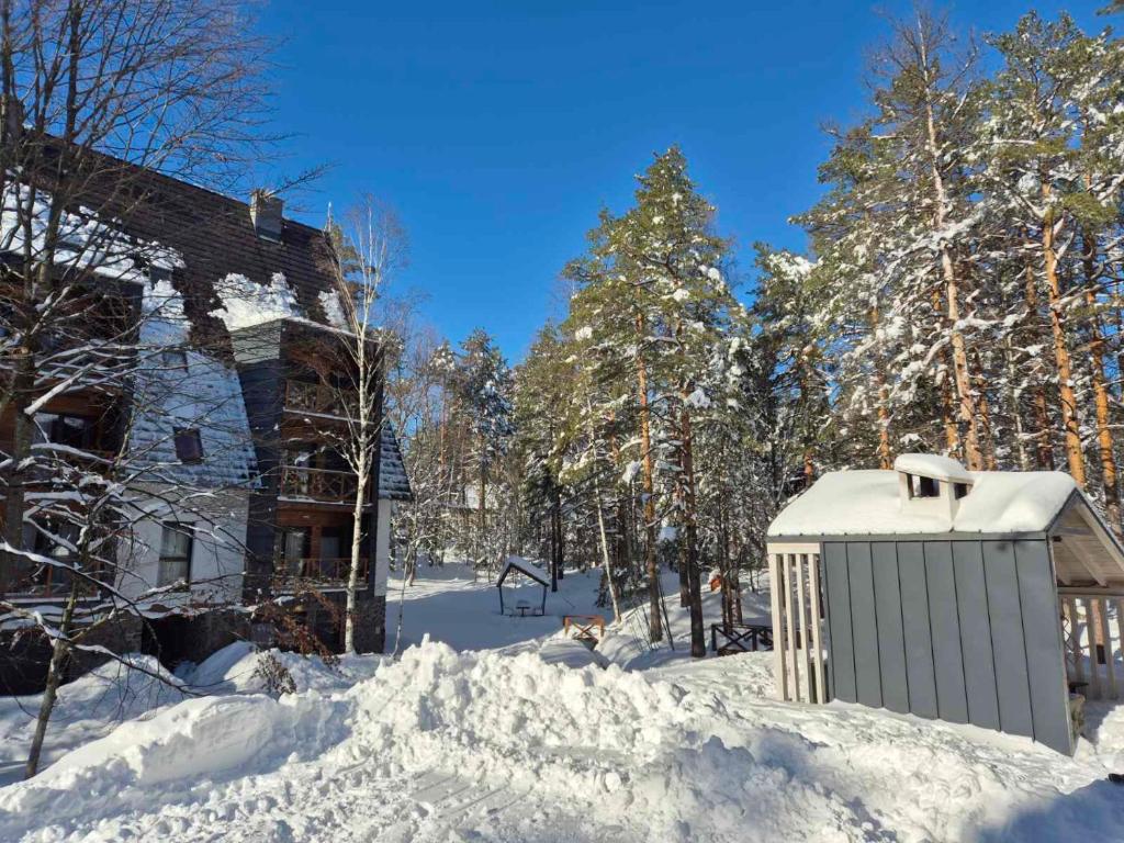 Apartman Lara - Divčigora v zimě