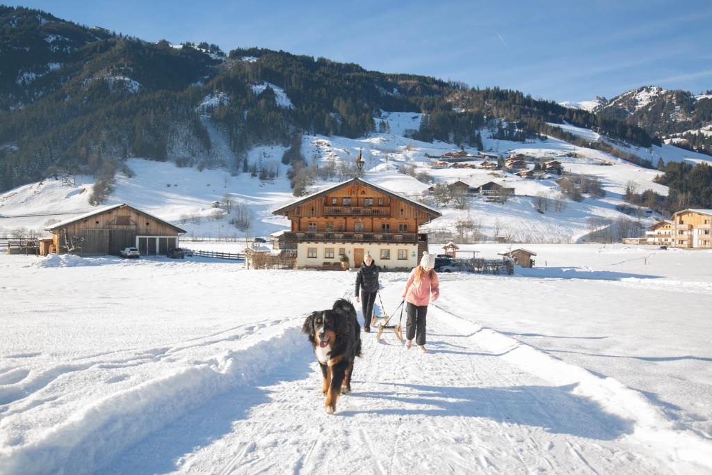 Un grupo de personas paseando a un perro en la nieve en Astlhof, en Grossarl