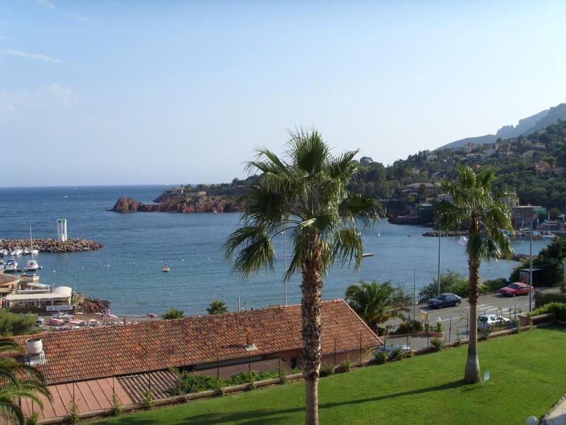 vistas a una playa con palmeras y al océano en Baie de la Méditerranée en Théoule-sur-Mer