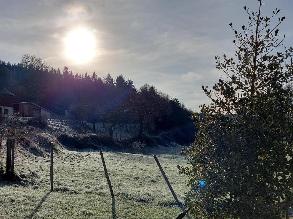 Příroda nedaleko apartmánu