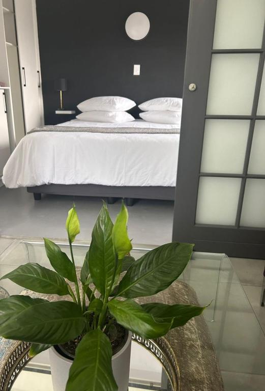 a bedroom with a bed and a potted plant at 122 Shearwater - Nora's Place in Sedgefield
