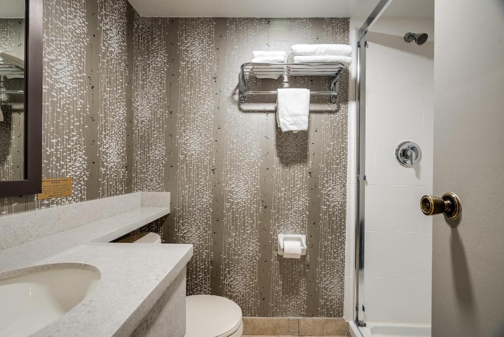 Koupelna v ubytování Monte Carlo Inn Toronto West Suites