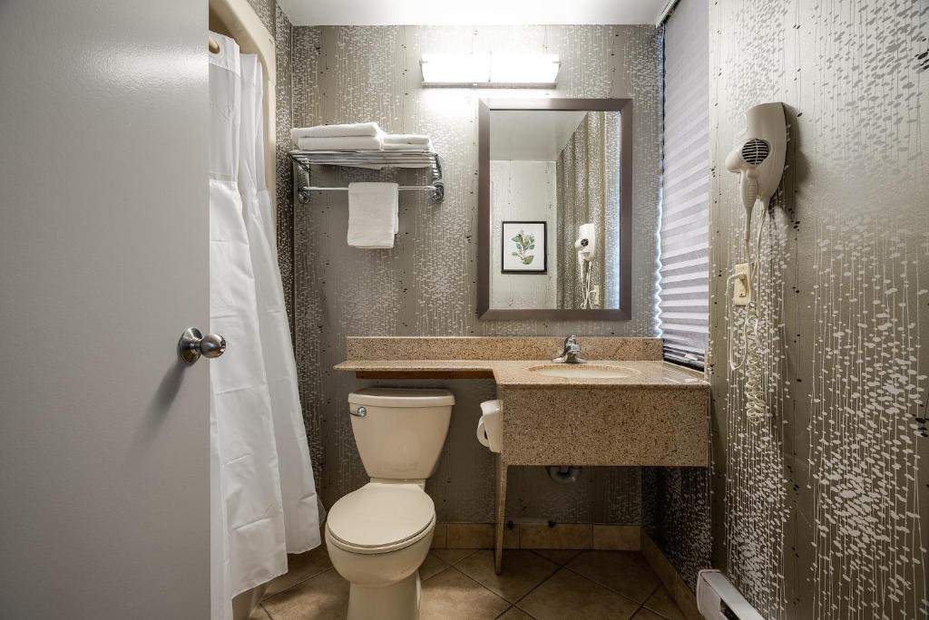 Koupelna v ubytování Monte Carlo Inn Toronto West Suites