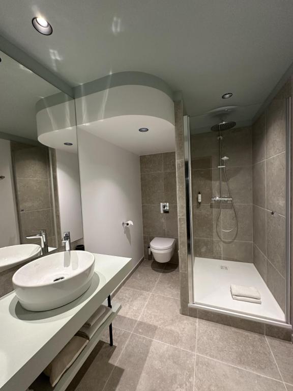 Logis Hotel Darcy Dijon Centre - Resim 11