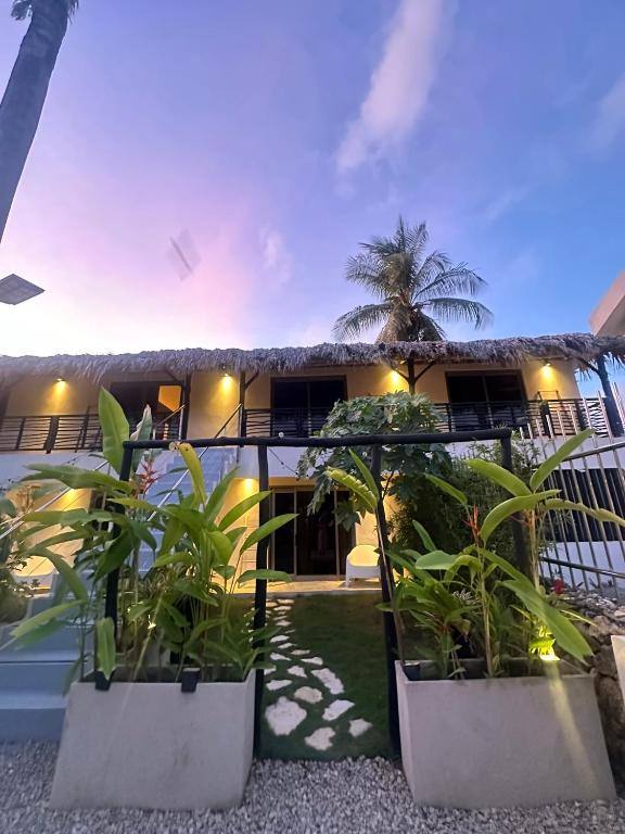 Best Hotels in Samana Peninsula, Dominican Republic. 632202951