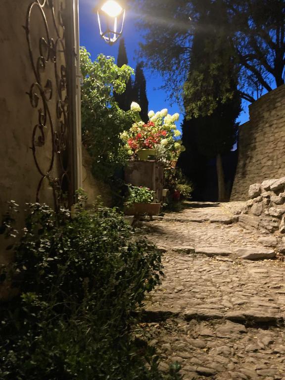 une rue pavée avec une lumière et des fleurs dans l'établissement Les Magnolias, à Montbrun-les-Bains