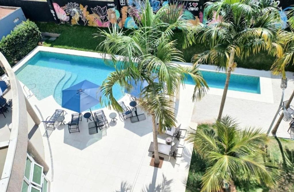 Una vista aérea de una piscina con palmeras. en Intercity Vinhedo, en Vinhedo