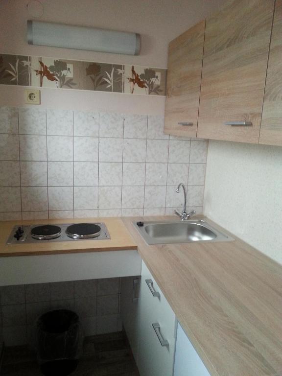 Kuchyň nebo kuchyňský kout v ubytování Hotel Park Eden