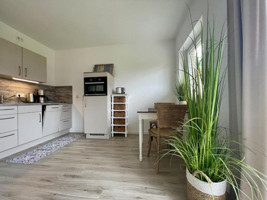 Seequartier 2 - Departamento