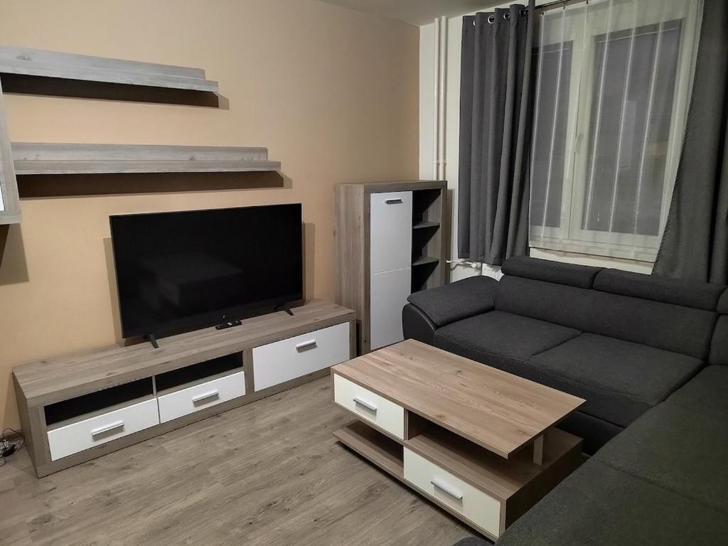 a living room with a couch and a flat screen tv at Byteček in Karlovy Vary