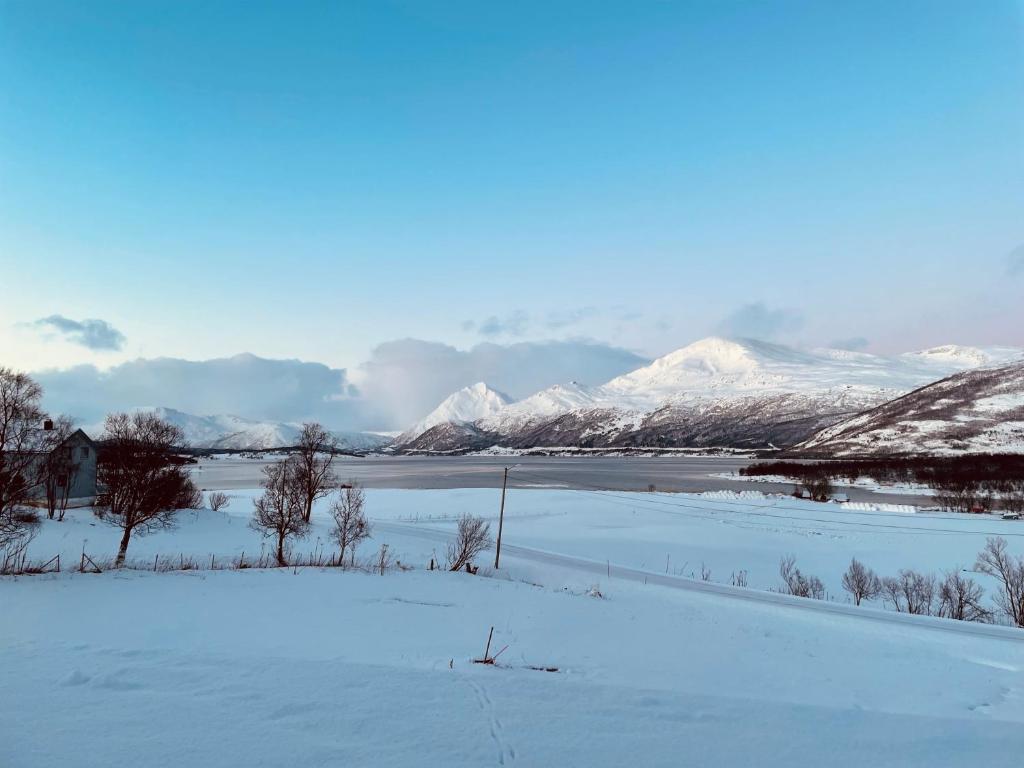 ein schneebedecktes Feld mit schneebedeckten Bergen im Hintergrund in der Unterkunft Marvelous farmhouse with amazing fjord and mountain view in Northern Norway in Nordøya