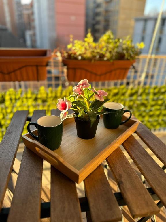 Balkón nebo terasa v ubytování B&B Sophie