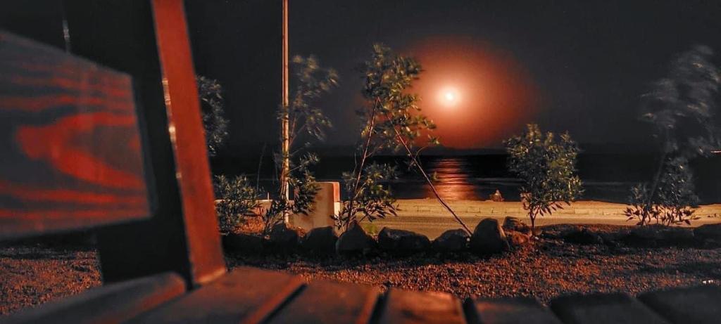 Zahrada ubytování Soliman house dahab