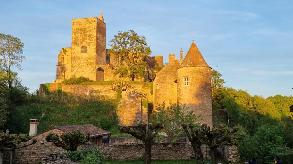 un vieux château au sommet d'une colline plantée d'arbres dans l'établissement Dans le village médiéval, à La Chapelle-sous-Brancion