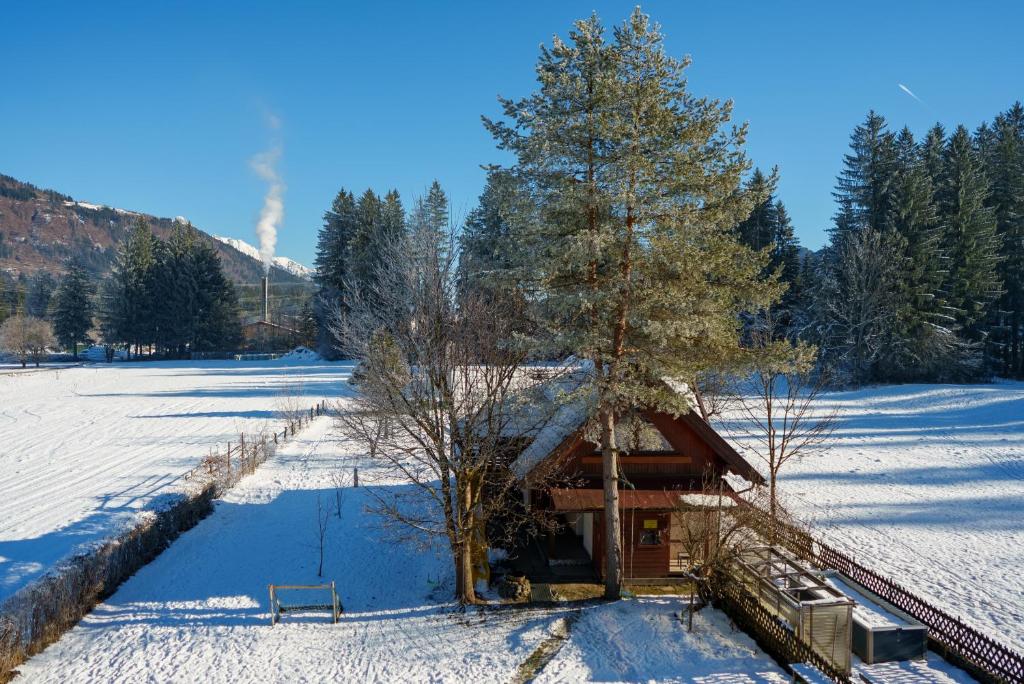 Příroda nedaleko apartmánu