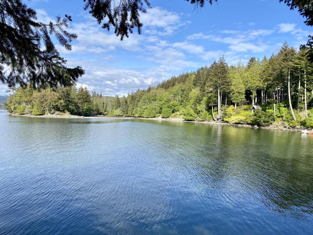 a view of a lake with trees on the shore at The Cottage - A Private Oceanfront Dream! in East Sooke