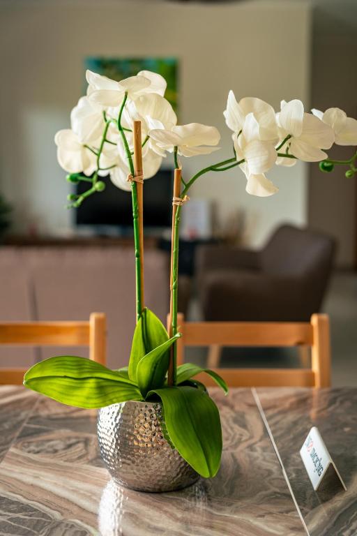 Fotografie z fotogalerie ubytování Aran Apartments v destinaci Au Cap