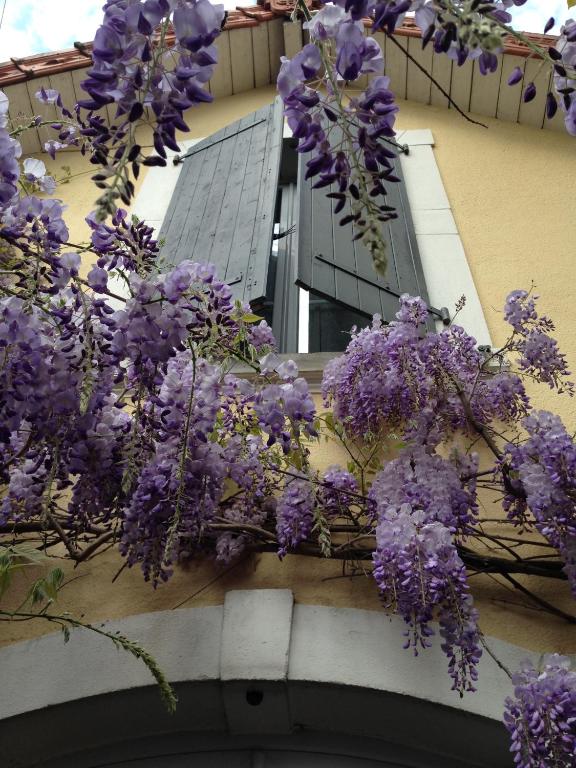 a bunch of purple flowers hanging from a building at Chambre d&#39;Hôtes La Villa Molina in Besançon