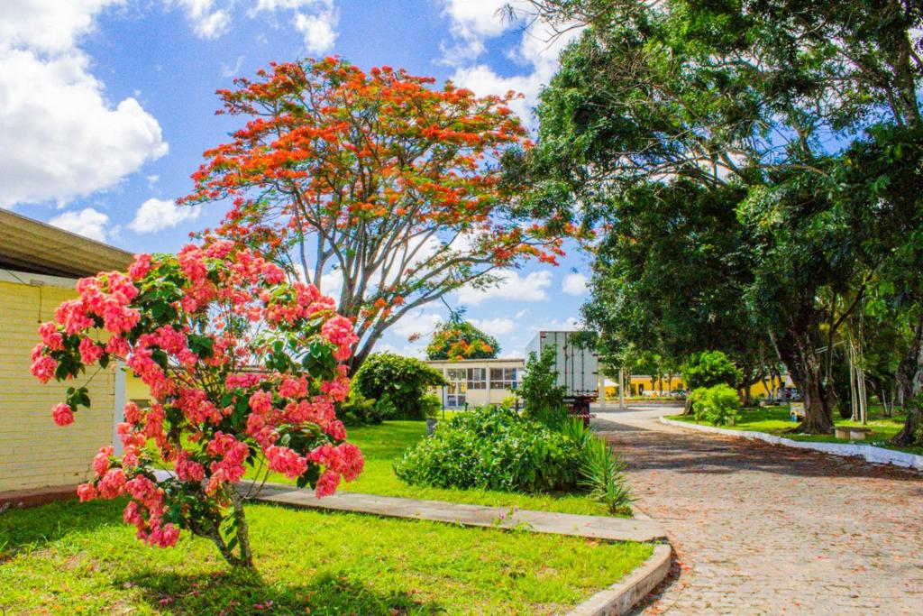  Hotel Parque do Sol