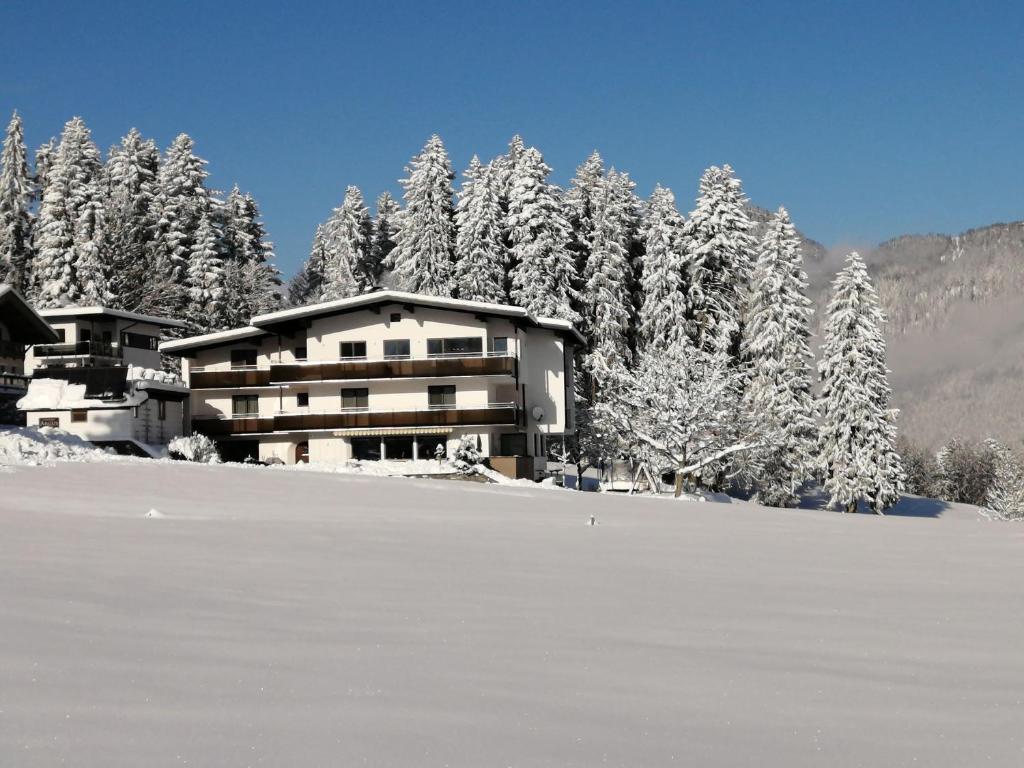 Landhaus Argus v zimě