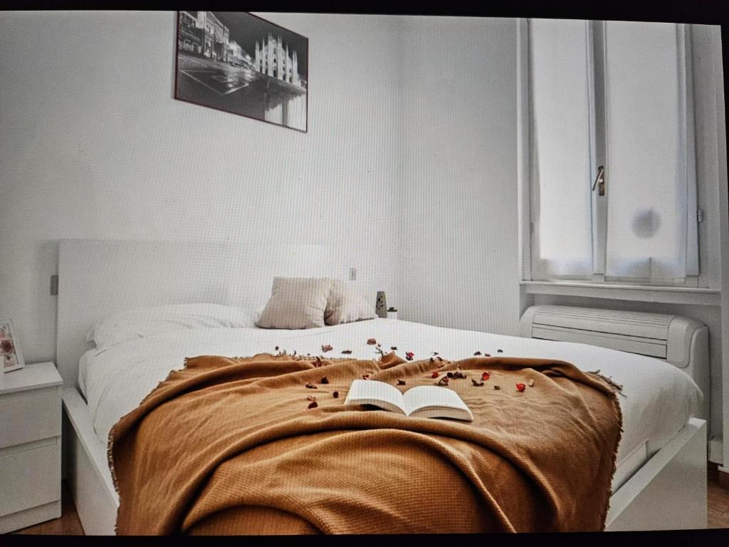 Two-room apartment San Babila Milan