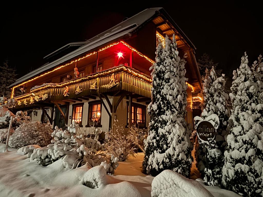 Hollhouse - Bed & Breakfast v zimě
