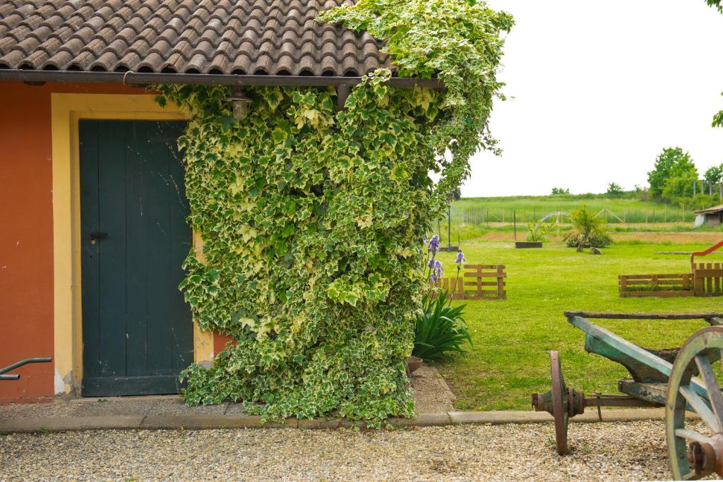 Vonkajšia záhrada v ubytovaní Country House Cascina Orto