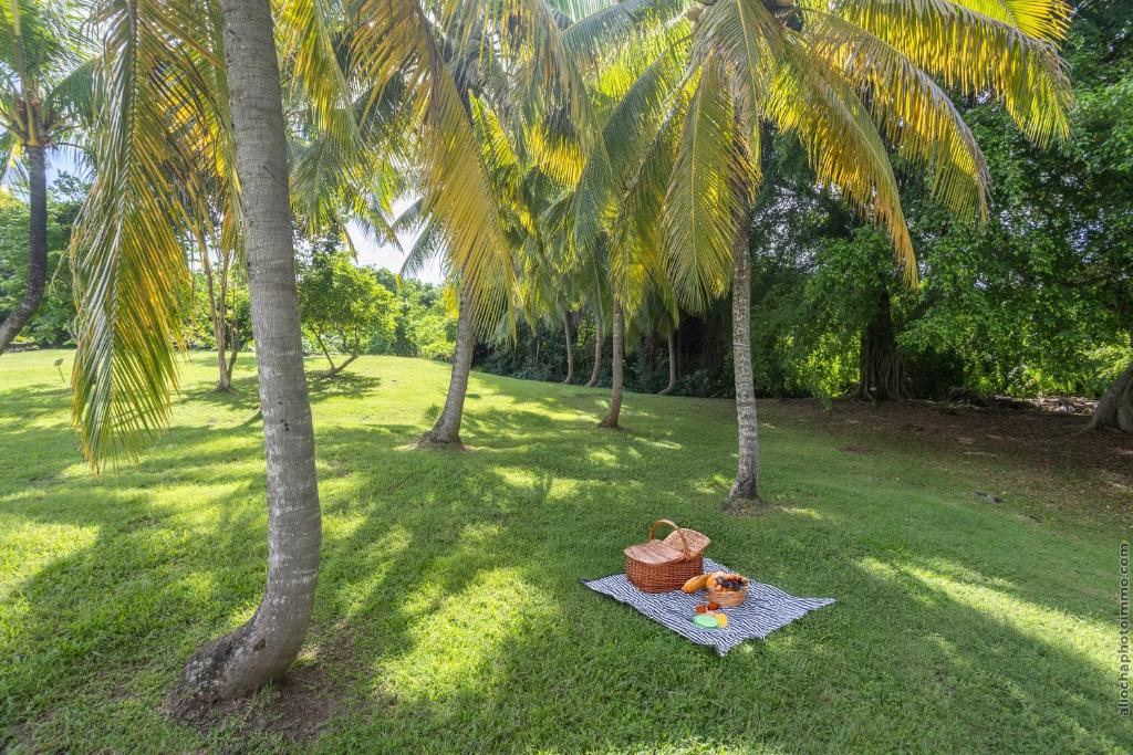 Zahrada ubytování Studio Premium vue Mer et Piscine, résidence de vacances