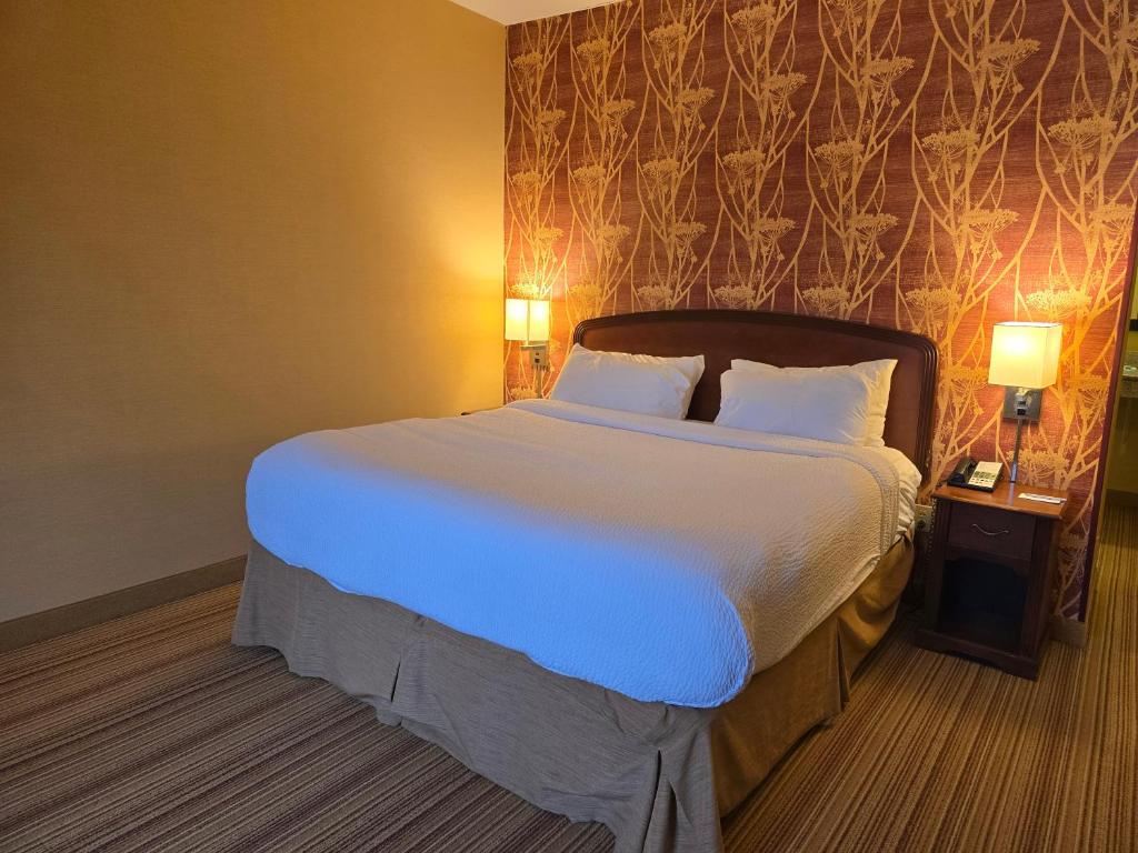 Country Inn & Suites by Radisson, Convention Center - Chambre Roi Avec Un Lit King Et Tourbillon