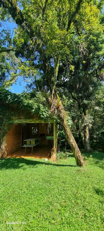Zahrada ubytování Memora Guesthouse Bateias - Casa Inteira e quartos em chácara
