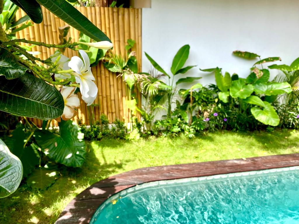 Zahrada ubytování AMAN Villas & SPA