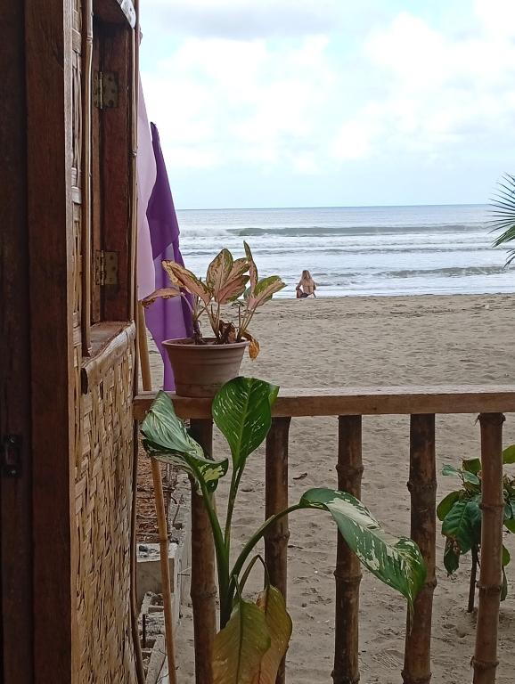 a potted plant sitting on a balcony overlooking the beach at El Hermosa Beach Resort in El Nido