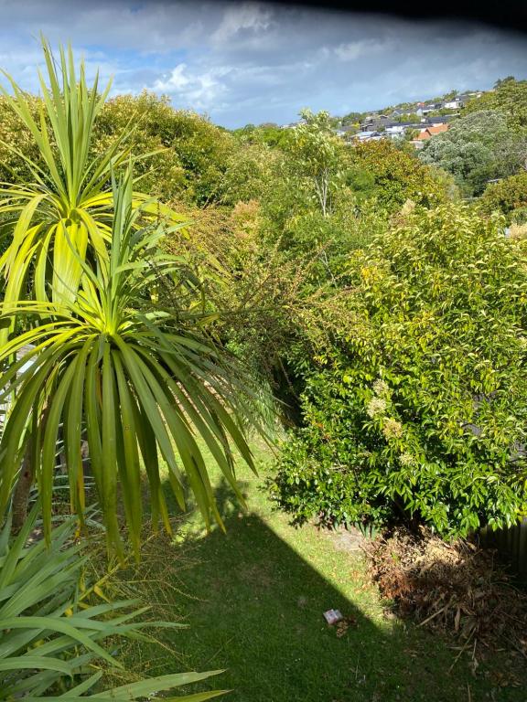 Bays stay - Resim 23