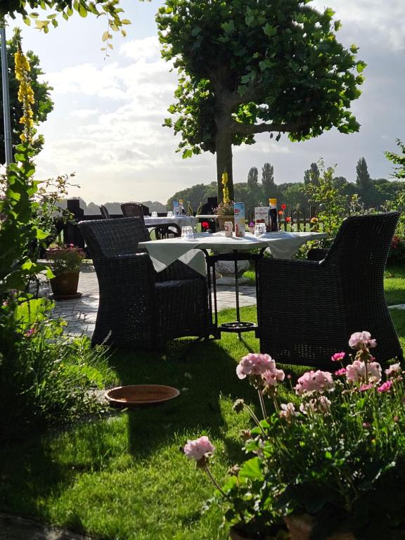 Zahrada ubytování Logement Hellevoetsluis