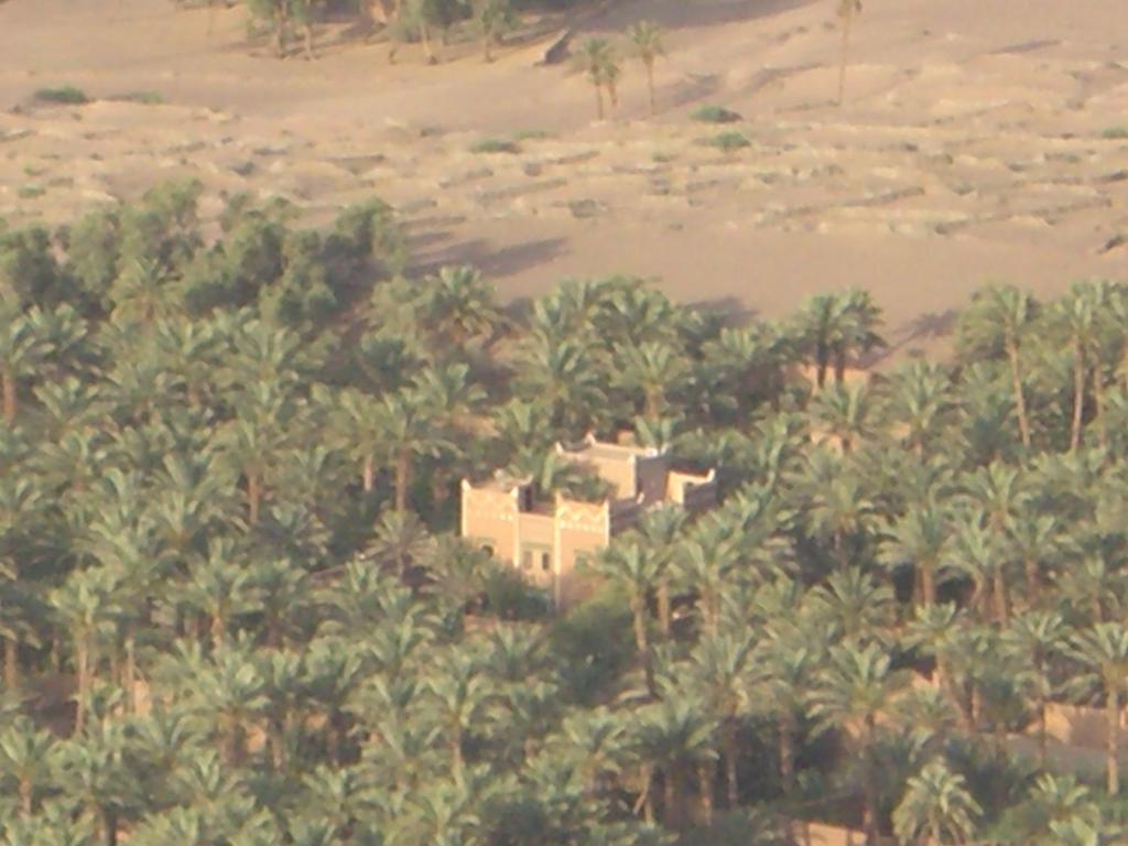 a house in the middle of a field with palm trees at Dar Nekhla in Zagora