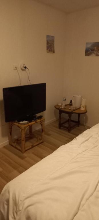 une chambre avec un lit et une télévision à écran plat dans l'établissement Maison calme, à Payrin-Augmontel